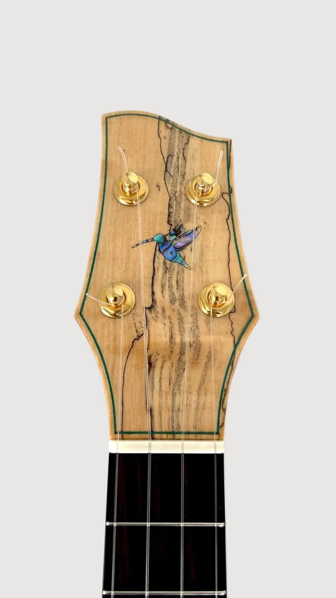 Naturel Concert Spalted Maple