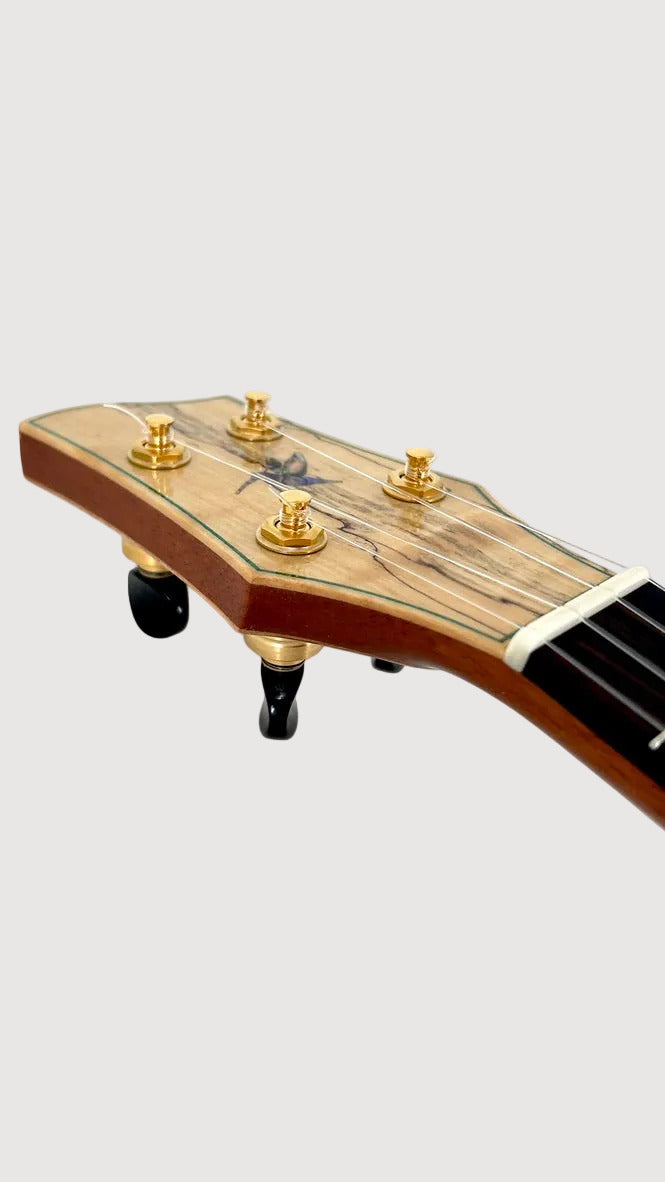 Naturel Concert Spalted Maple