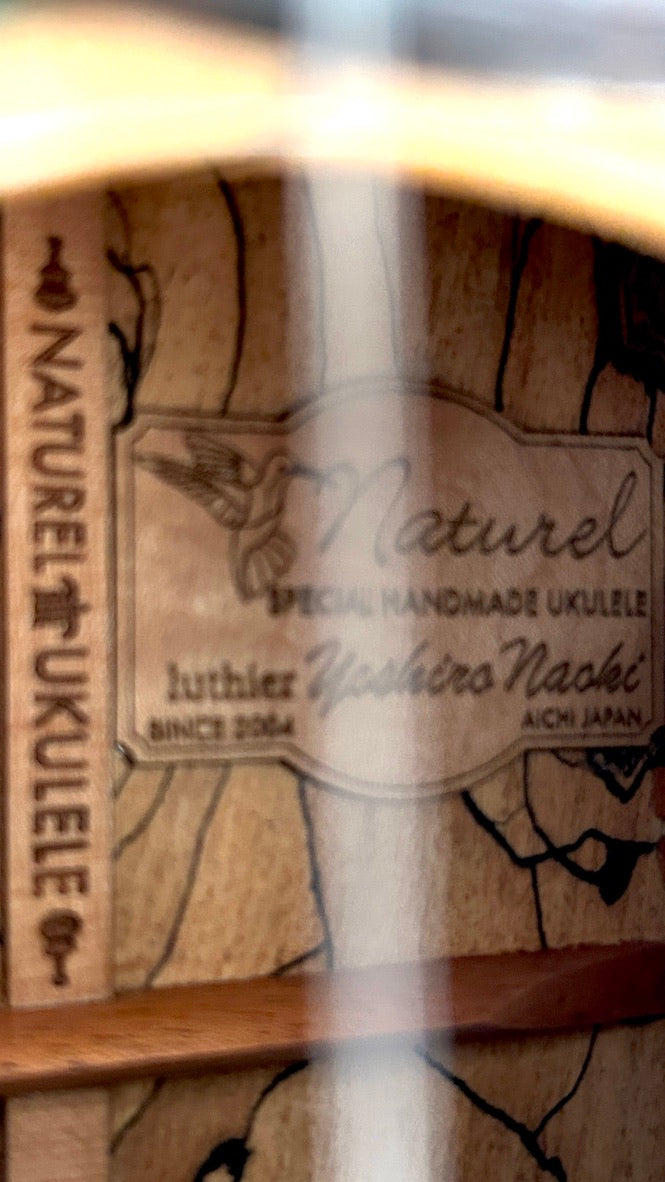 Naturel Concert Spalted Maple
