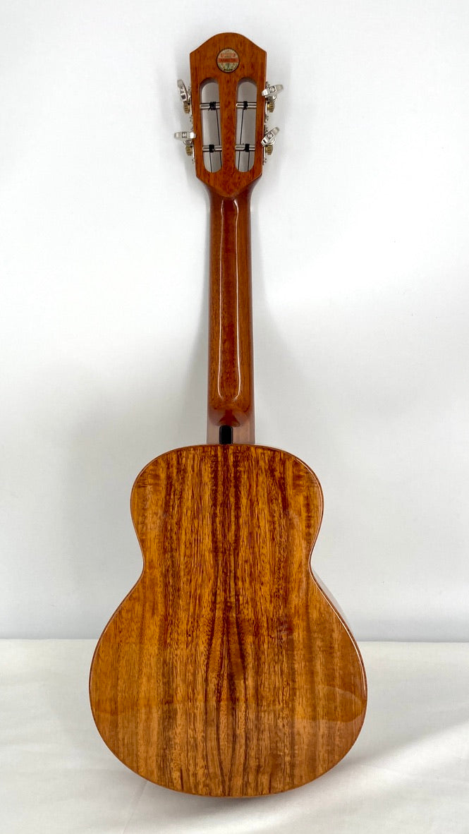 aNueNue AKK2 Concert