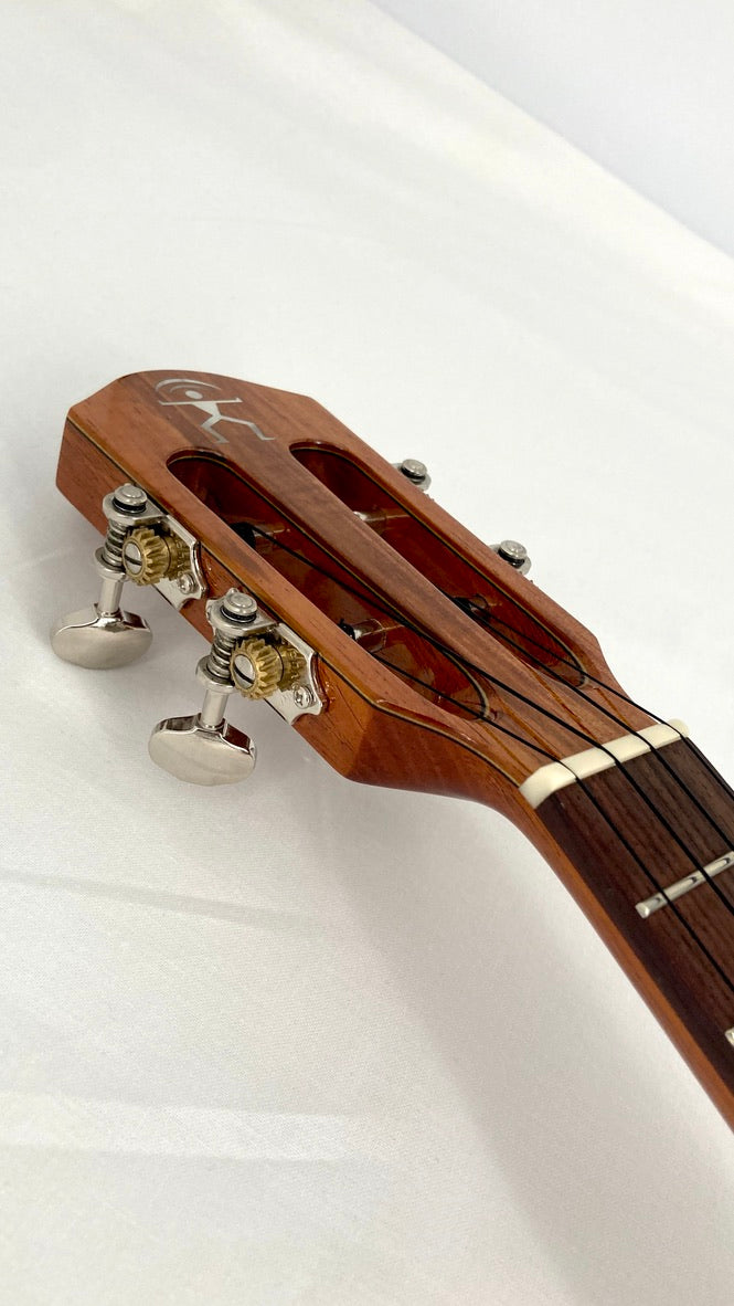 aNueNue AKK2 Concert