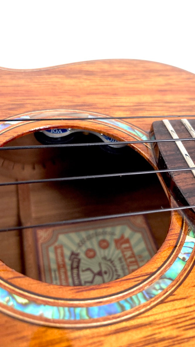 aNueNue AKK2E Concert mit Pickup