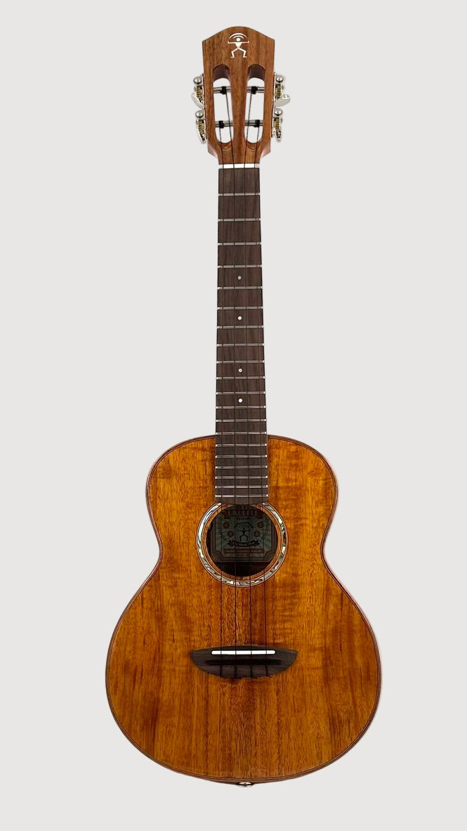 aNueNue AKK3E Tenor mit Pickup