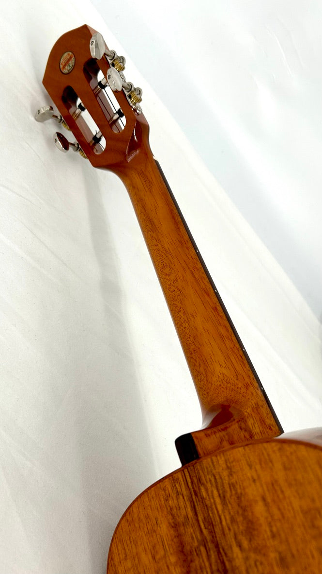 aNueNue AKK3E Tenor mit Pickup