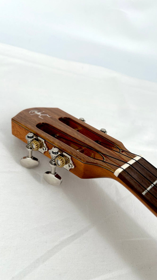 aNueNue AKK3E Tenor mit Pickup