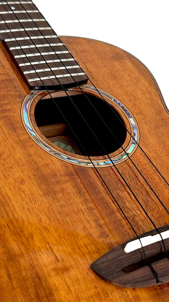 aNueNue AKK3E Tenor mit Pickup