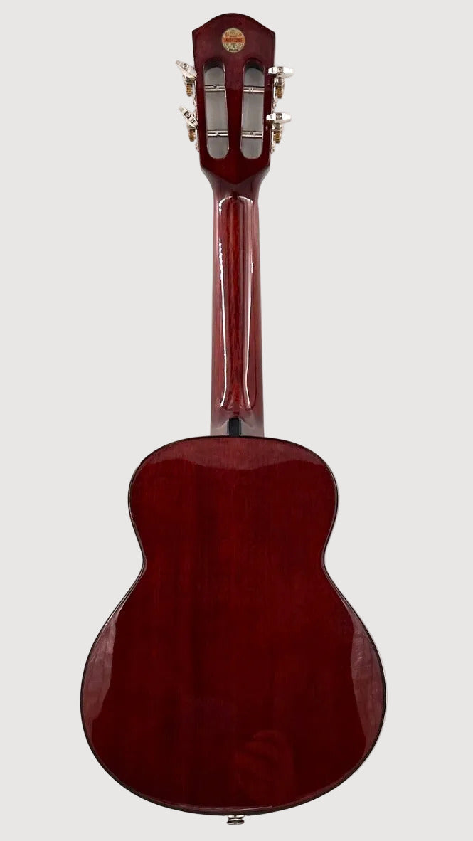aNueNue AMM2E Concert mit Pickup