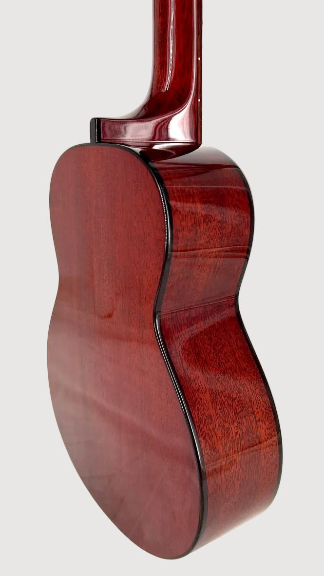 aNueNue AMM2E Concert mit Pickup