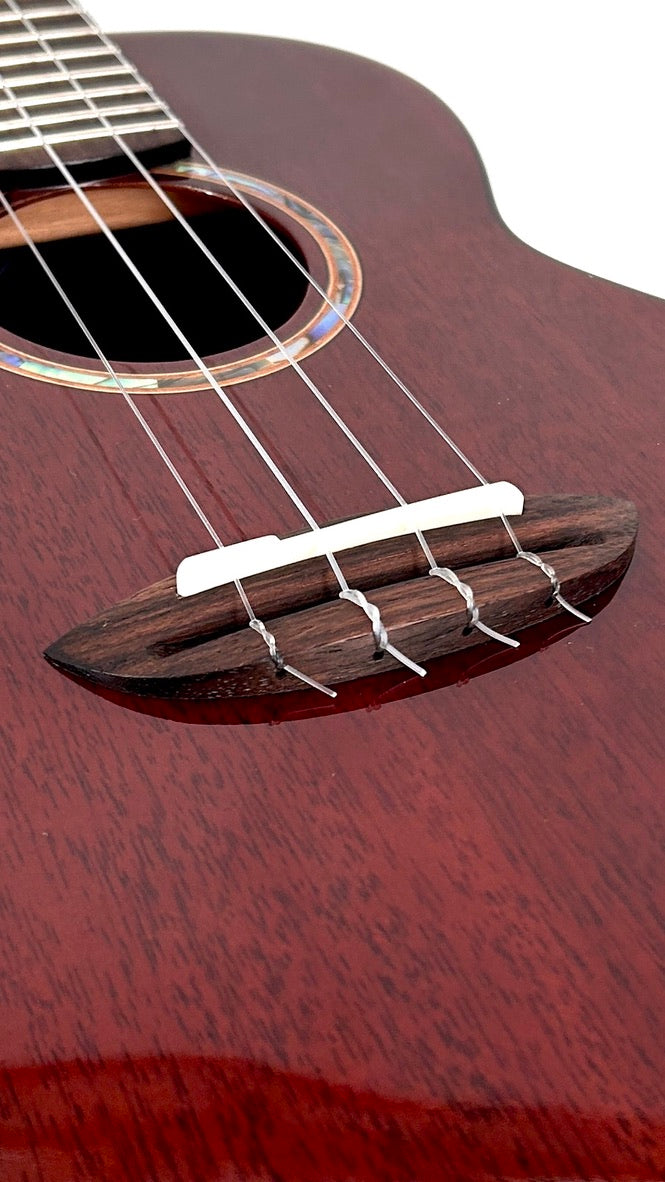 aNueNue AMM2E Concert mit Pickup