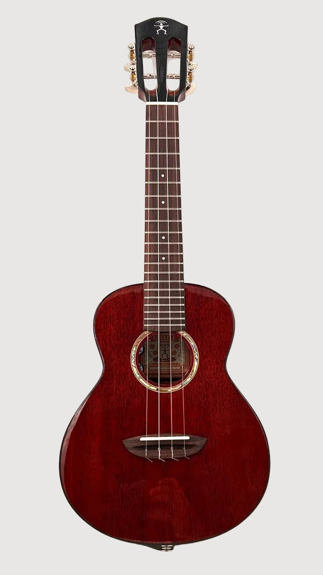 aNueNue AMM2E Concert mit Pickup
