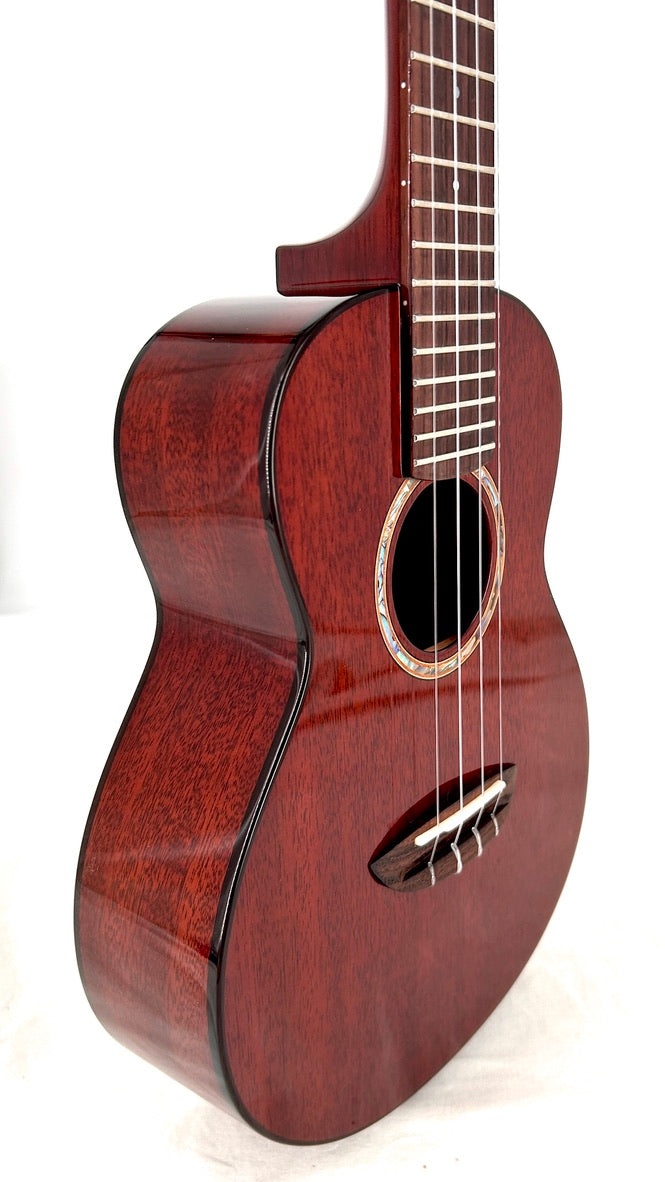 aNueNue AMM2E Concert mit Pickup