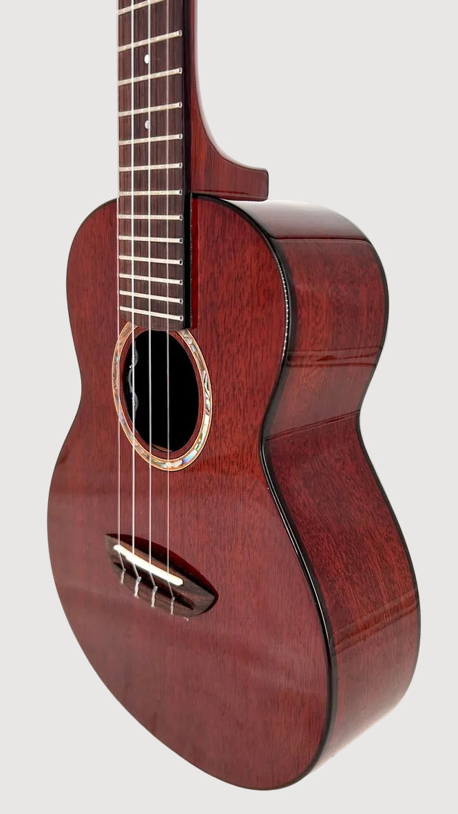 aNueNue AMM2E Concert mit Pickup
