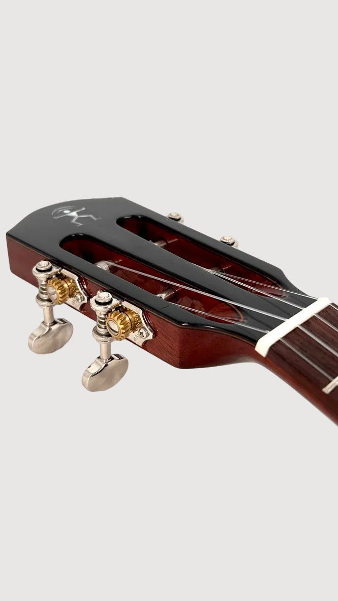 aNueNue AMM2E Concert mit Pickup