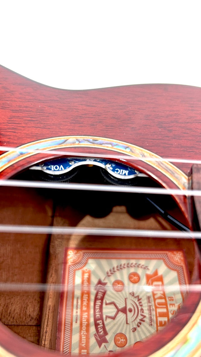 aNueNue AMM2E Concert mit Pickup