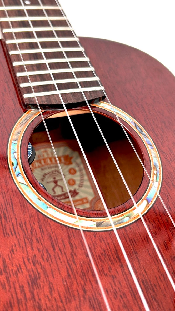 aNueNue AMM2E Concert mit Pickup