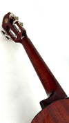 aNueNue AMM3 Tenor