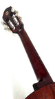 aNueNue AMM3 Tenor