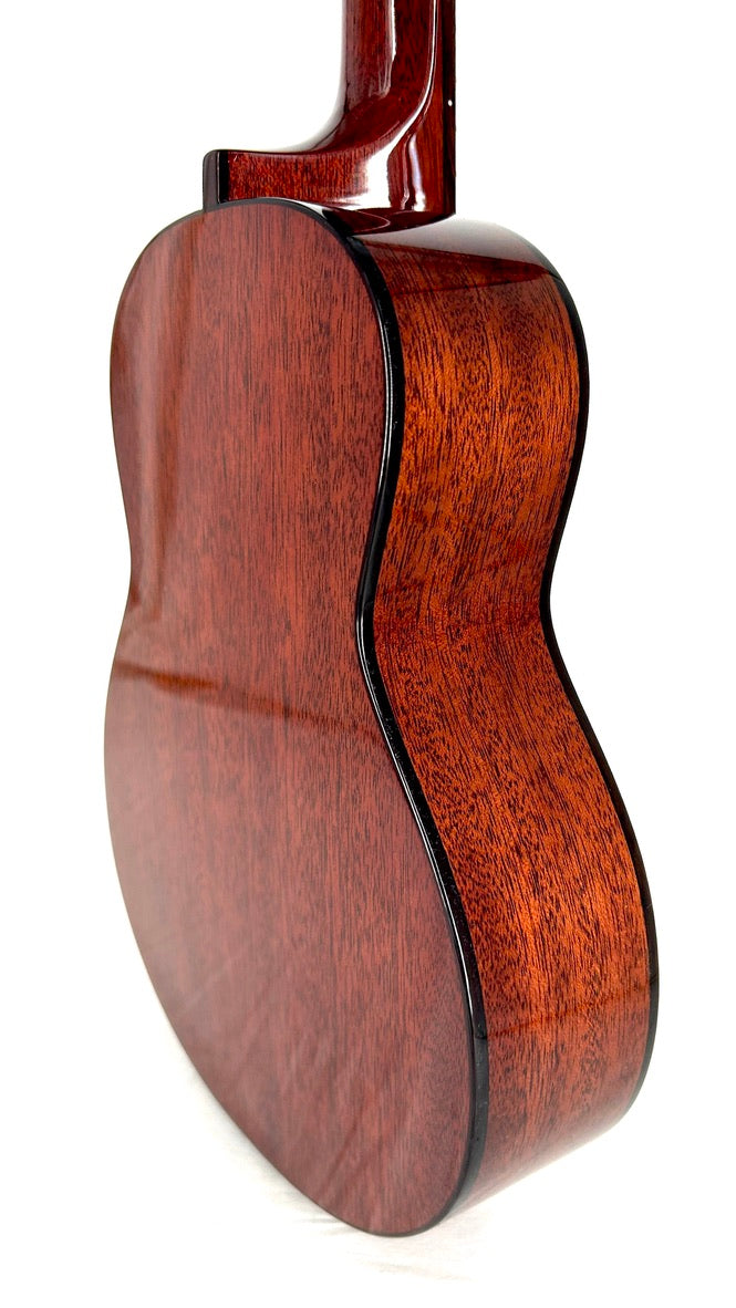 aNueNue AMM3E Tenor mit Pickup