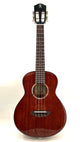 aNueNue AMM3E Tenor mit Pickup