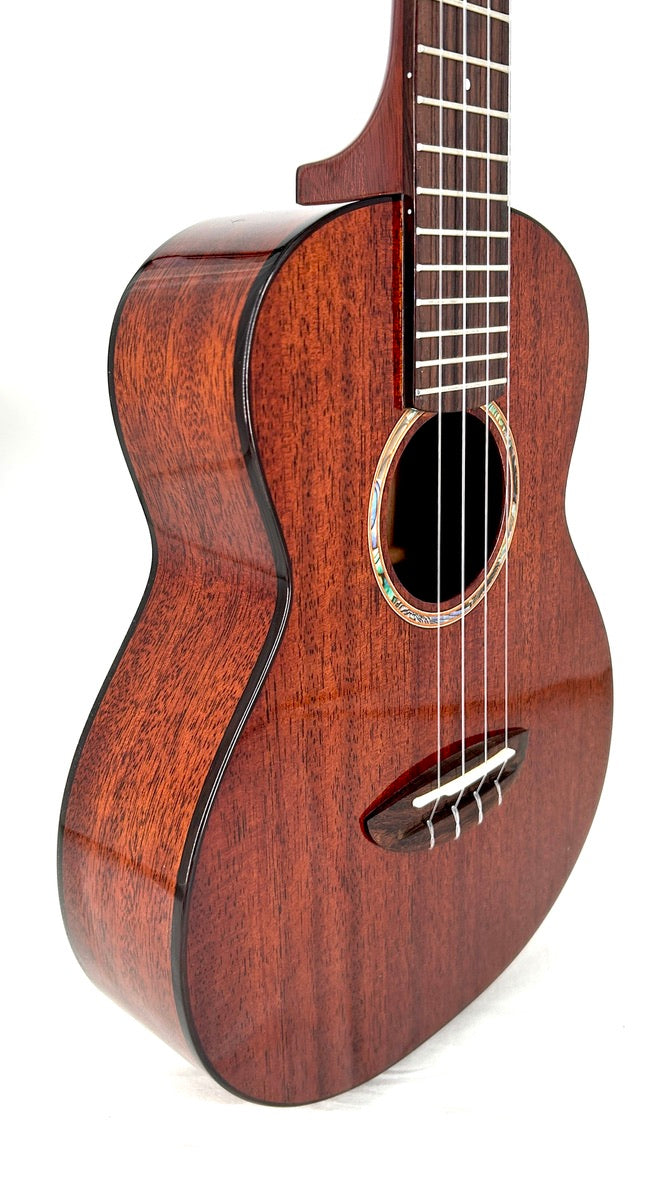 aNueNue AMM3E Tenor mit Pickup