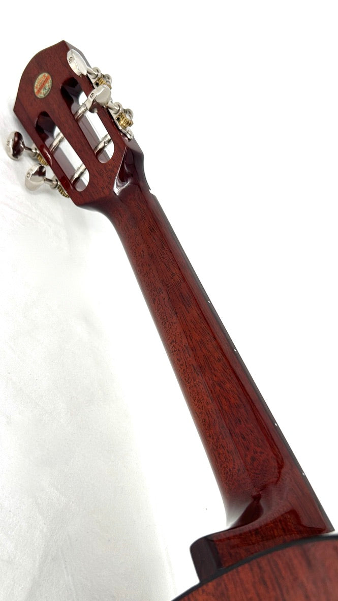 aNueNue AMM3E Tenor mit Pickup