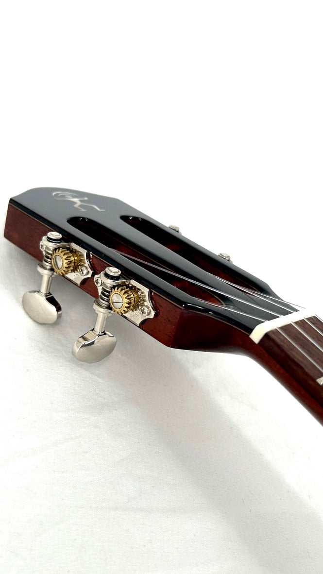 aNueNue AMM3E Tenor mit Pickup