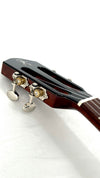 aNueNue AMM3E Tenor mit Pickup
