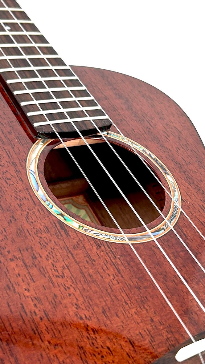 aNueNue AMM3E Tenor mit Pickup