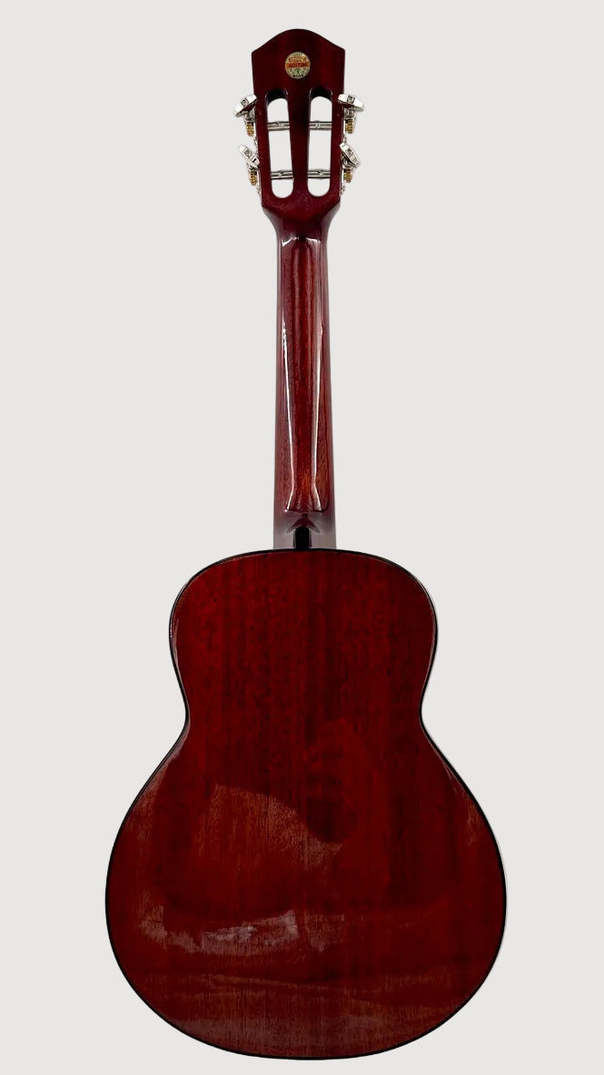 aNueNue AMM3E Tenor mit Pickup