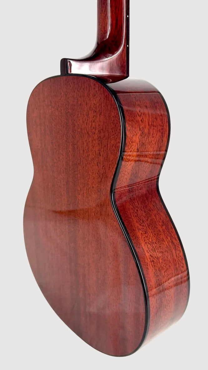 aNueNue AMM3E Tenor mit Pickup
