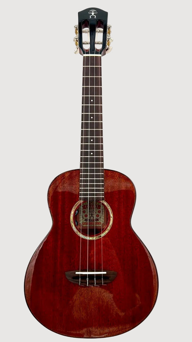 aNueNue AMM3E Tenor mit Pickup