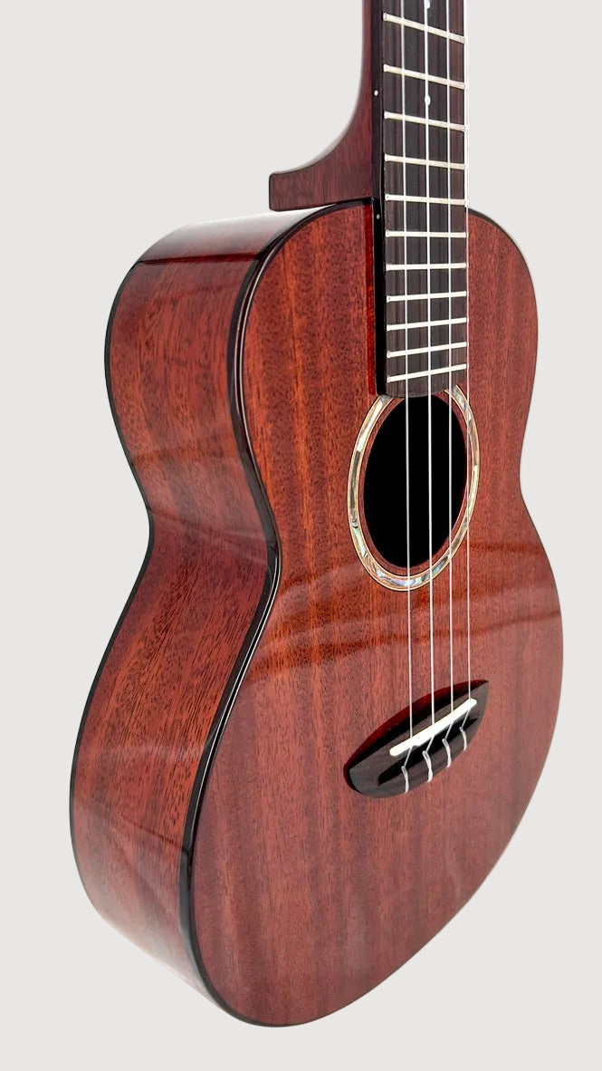 aNueNue AMM3E Tenor mit Pickup
