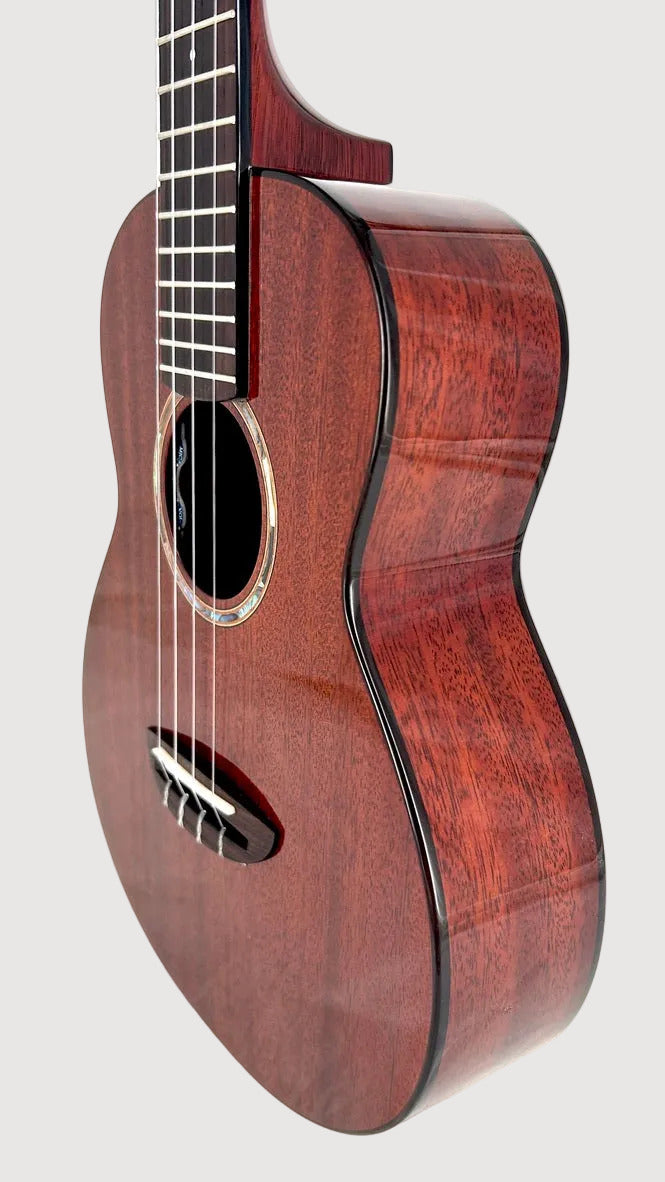 aNueNue AMM3E Tenor mit Pickup
