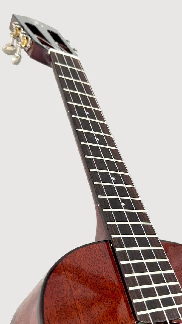 aNueNue AMM3E Tenor mit Pickup