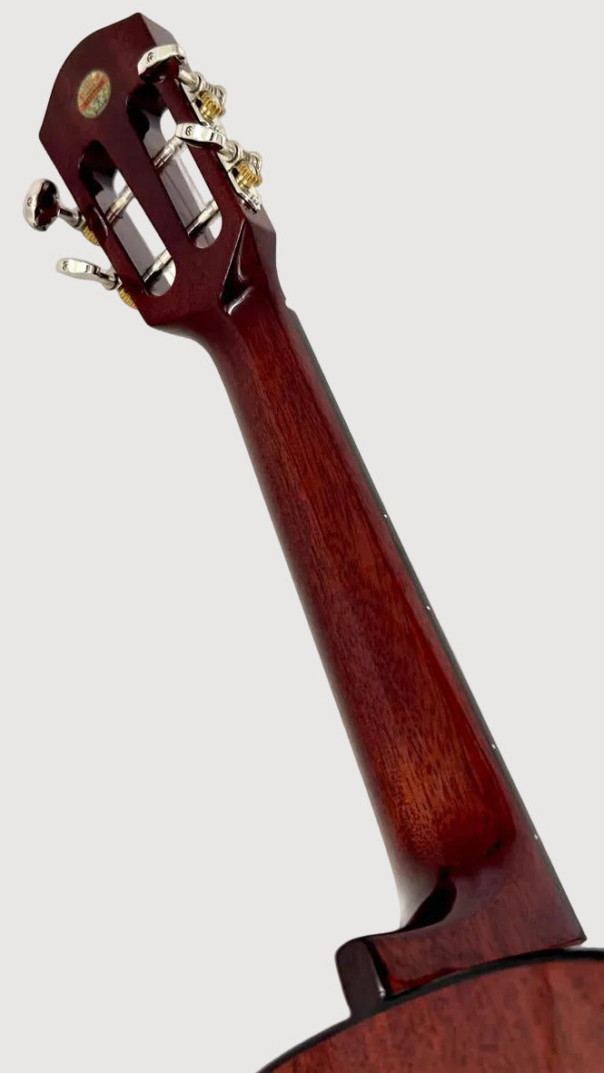 aNueNue AMM3E Tenor mit Pickup