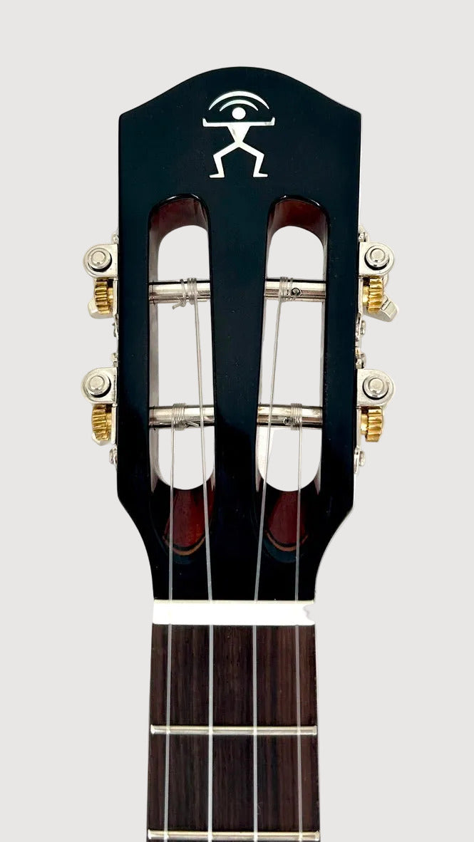 aNueNue AMM3E Tenor mit Pickup