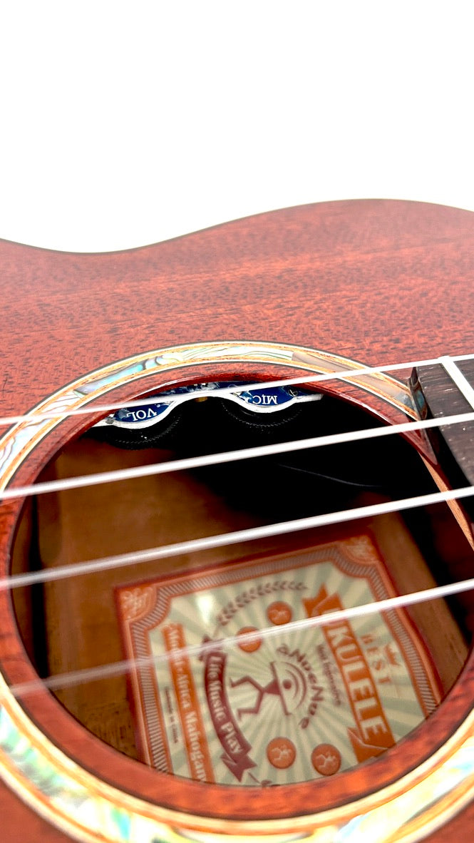 aNueNue AMM3E Tenor mit Pickup