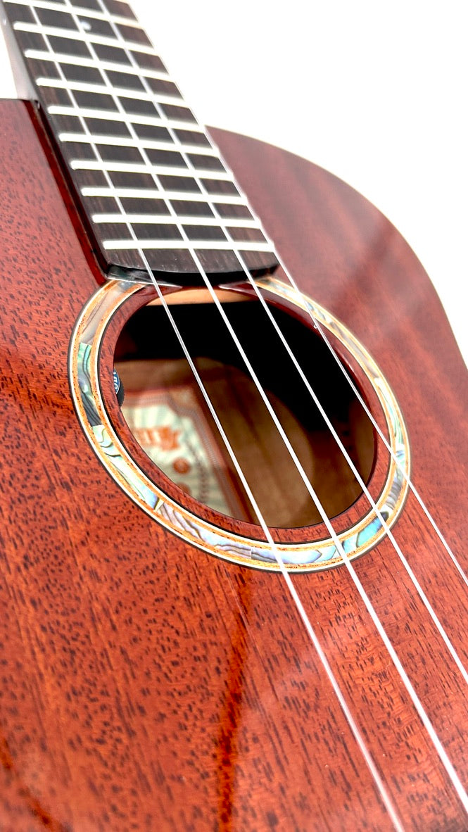 aNueNue AMM3E Tenor mit Pickup