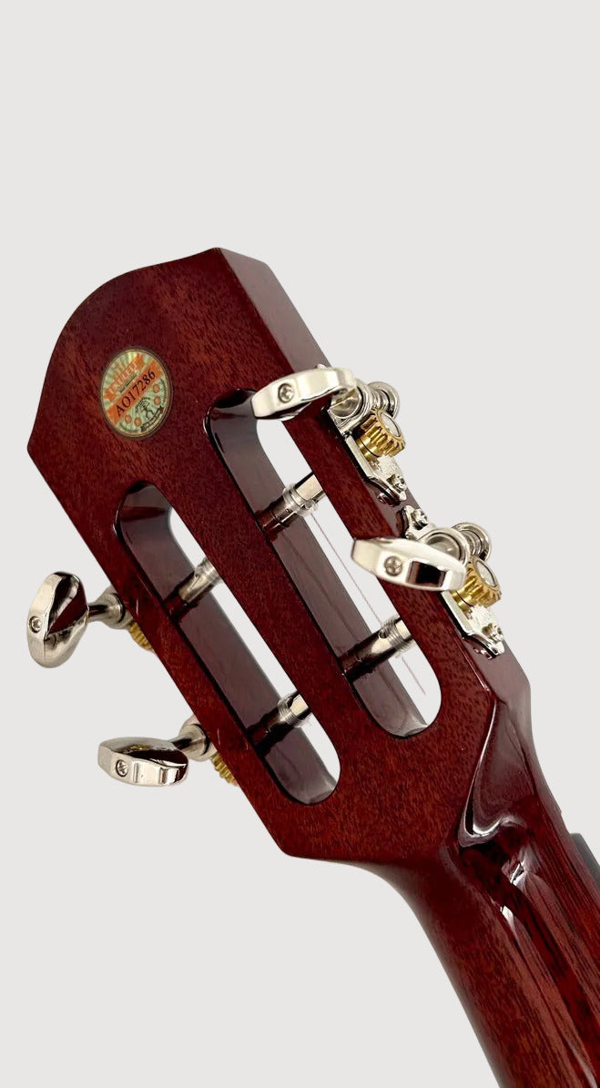 aNueNue AMM3E Tenor mit Pickup