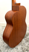 aNueNue L10 Gitarre