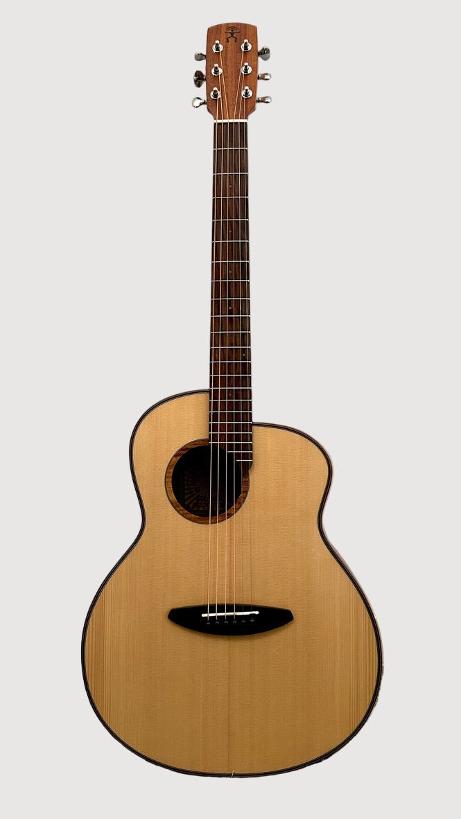 aNueNue L10 Gitarre