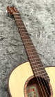 aNueNue L10 Gitarre