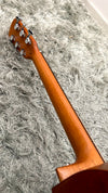 aNueNue L10 Gitarre