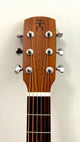 aNueNue L10 Gitarre
