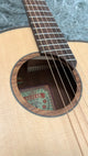 aNueNue L10 Gitarre