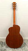aNueNue L10E Gitarre