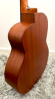 aNueNue L10E Gitarre