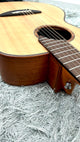 aNueNue L10E Gitarre