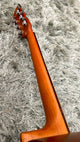 aNueNue L10E Gitarre