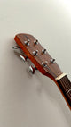 aNueNue L10E Gitarre